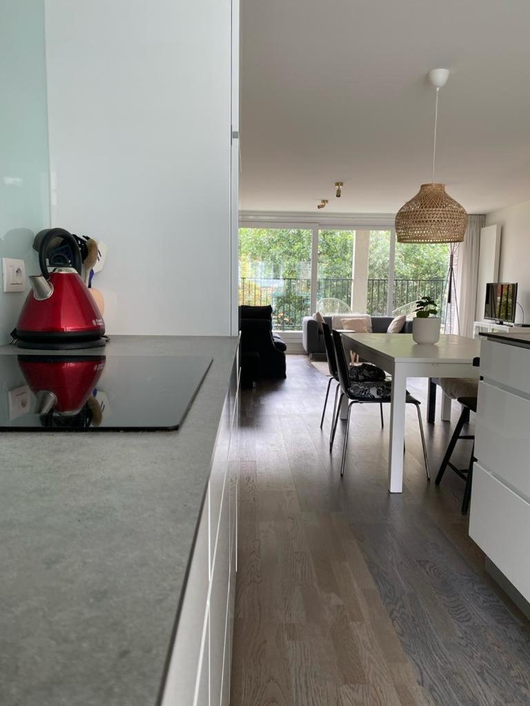 Recent En Lichtrijk Duplex-Appartement Te 温都尼 外观 照片